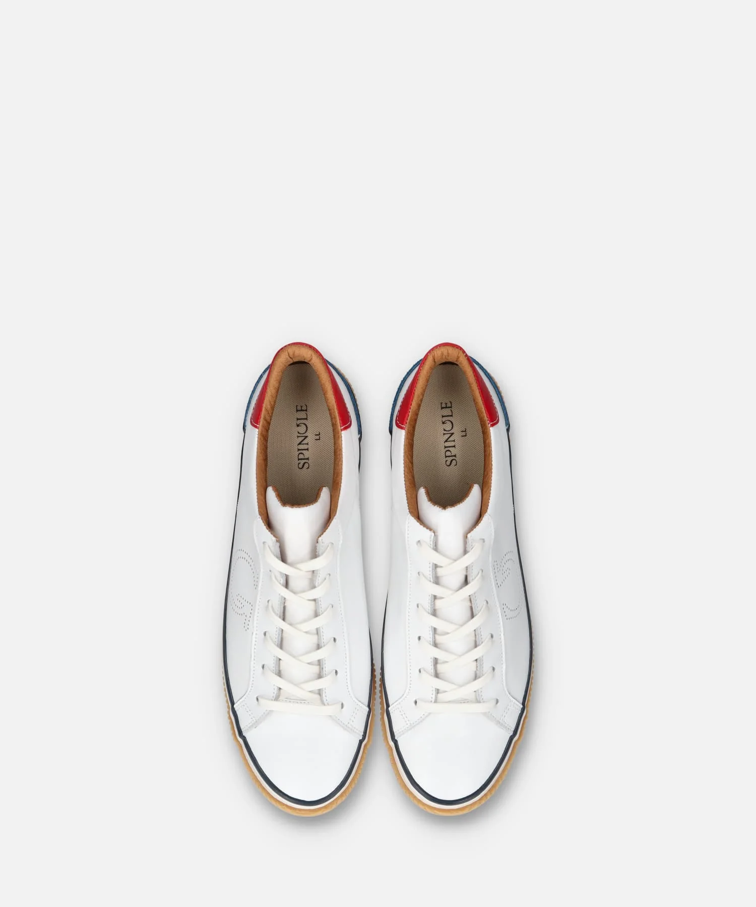 SP-1050 Tricolor - Image 5