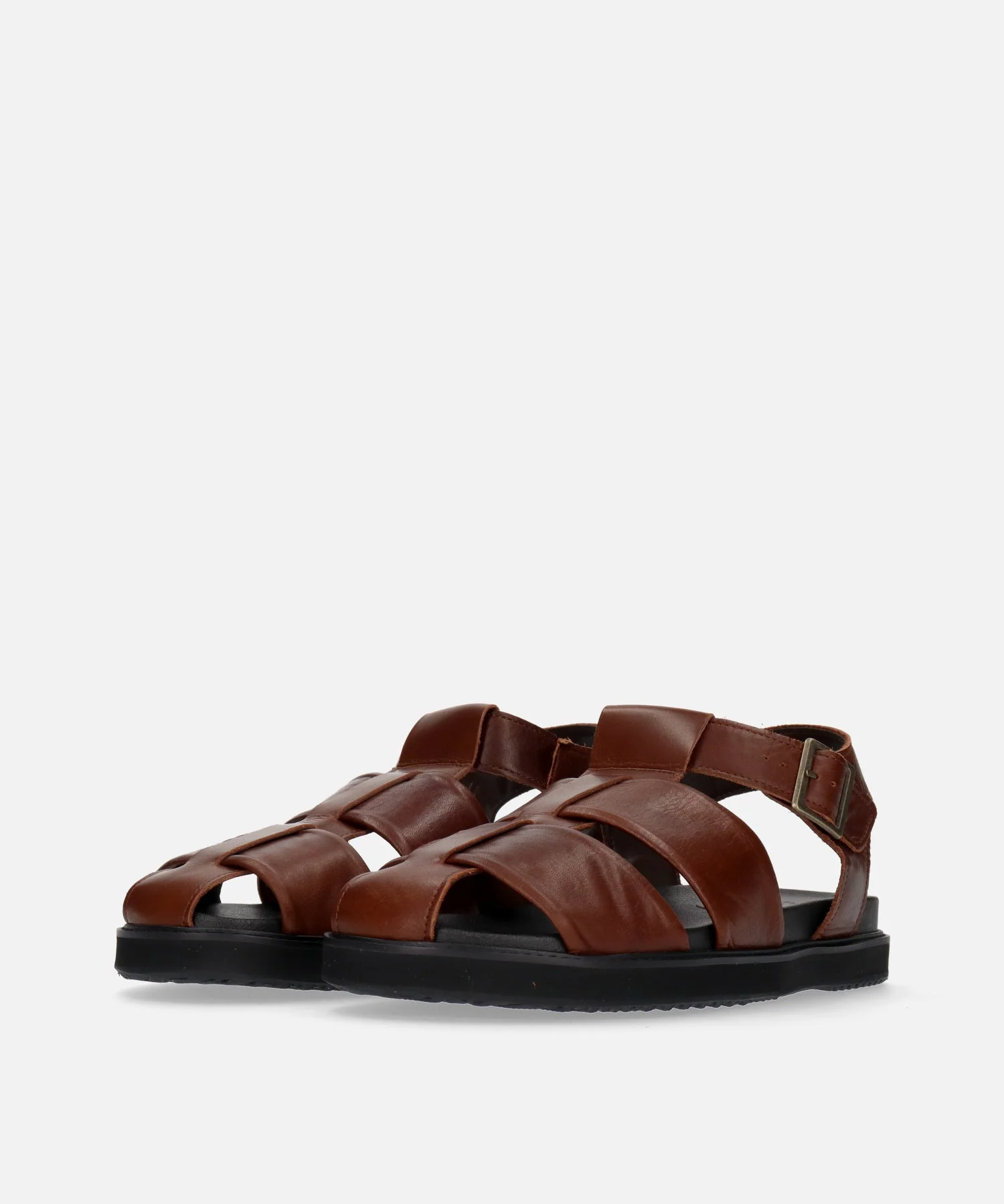 SP-1714 Brown - Image 2