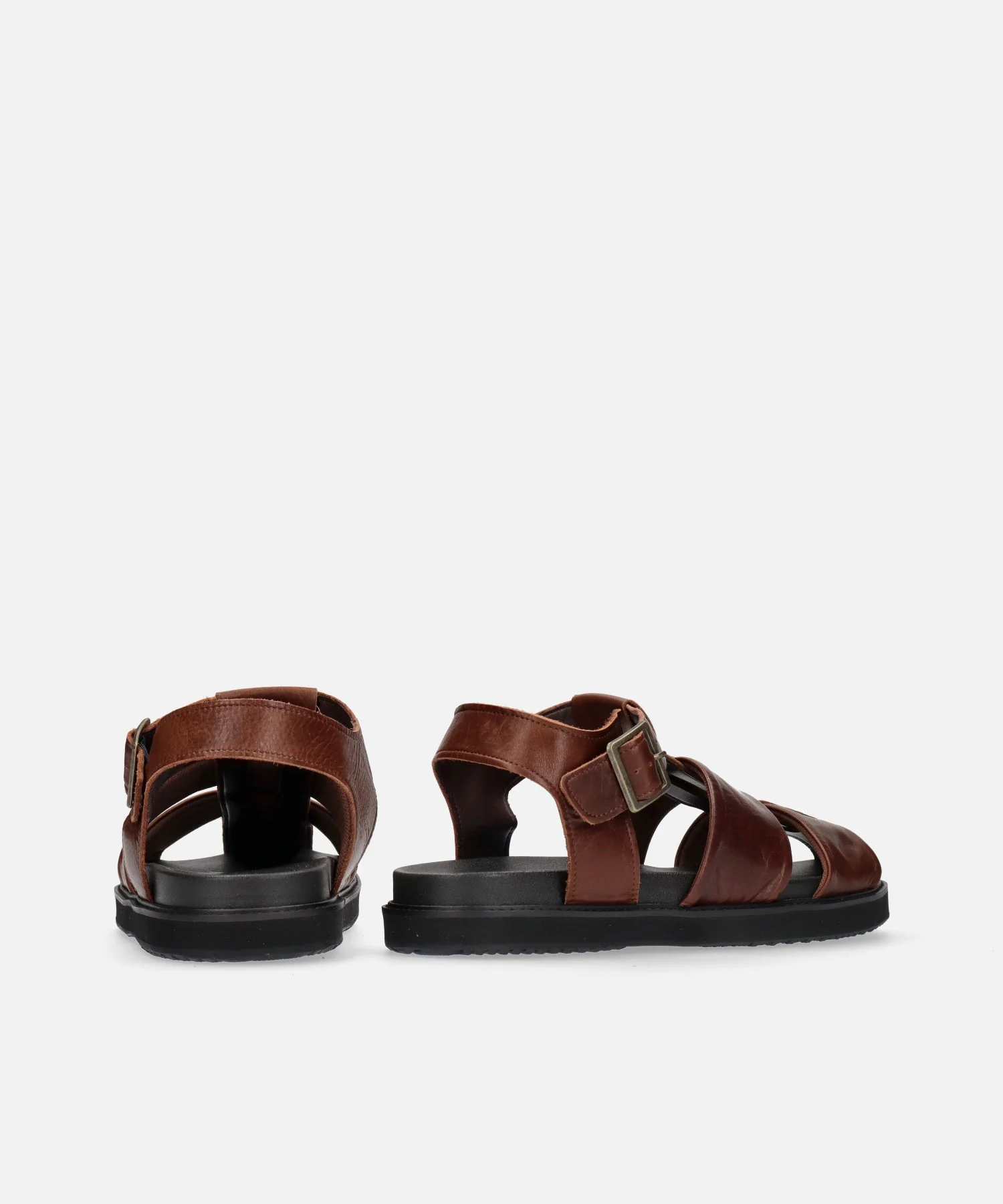 SP-1714 Brown - Image 4