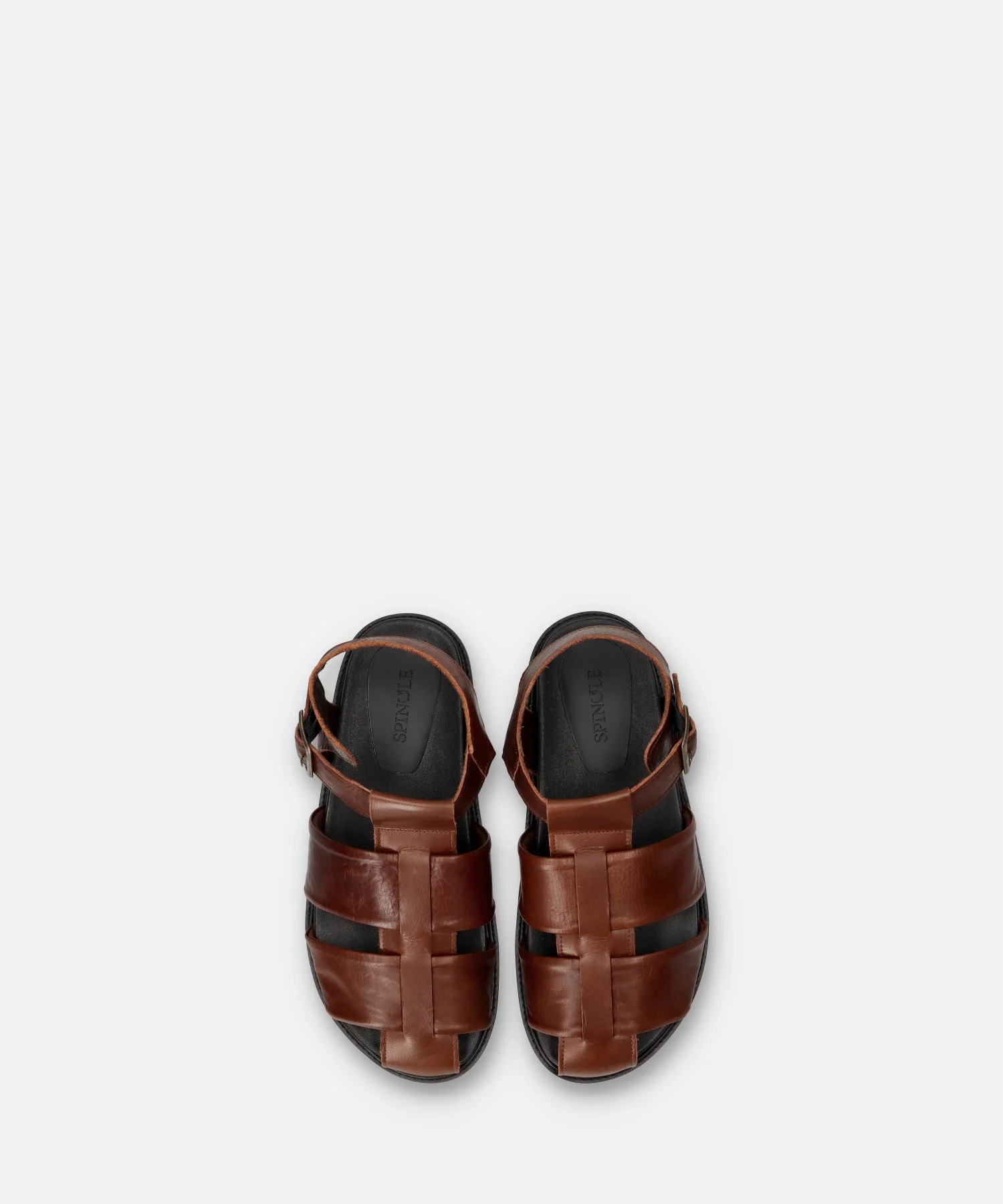 SP-1714 Brown - Image 6