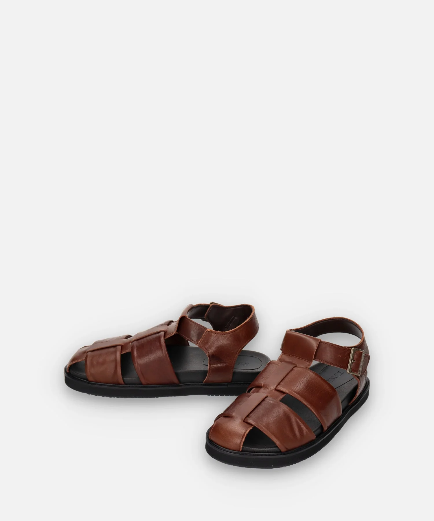 SP-1714 Brown - Image 7