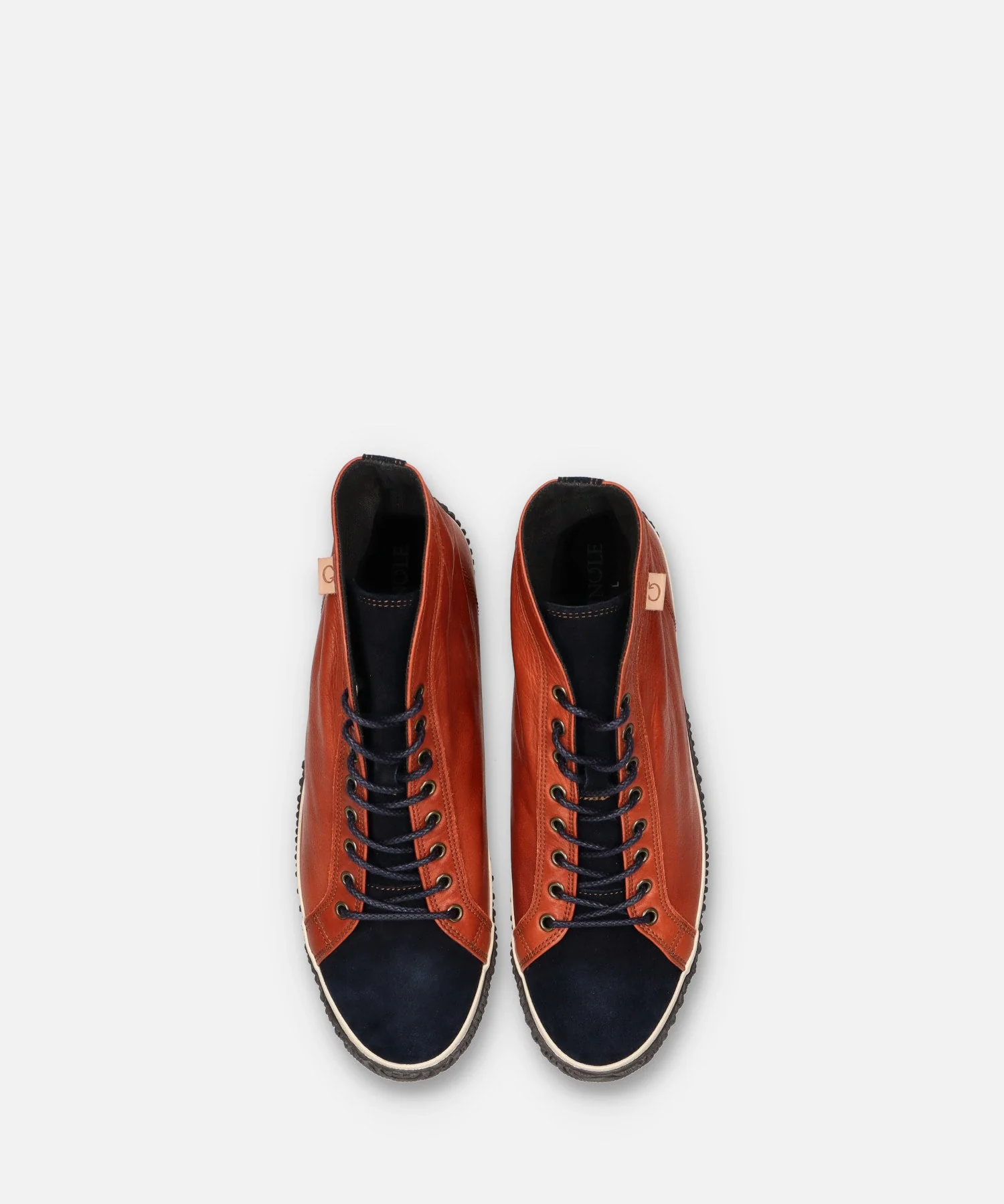 SP-450 Red Brown - Image 6