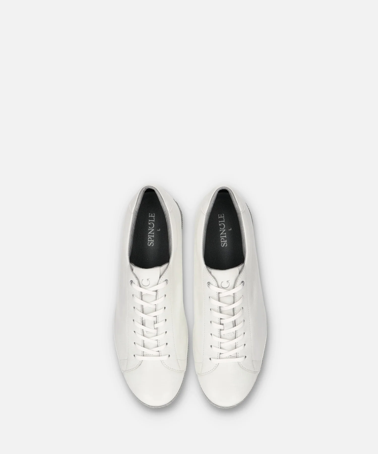 SP-6146 White - Image 5